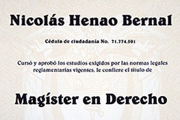 Magister en Derecho